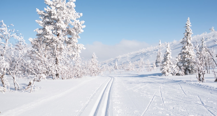 Wintersport Storhogna